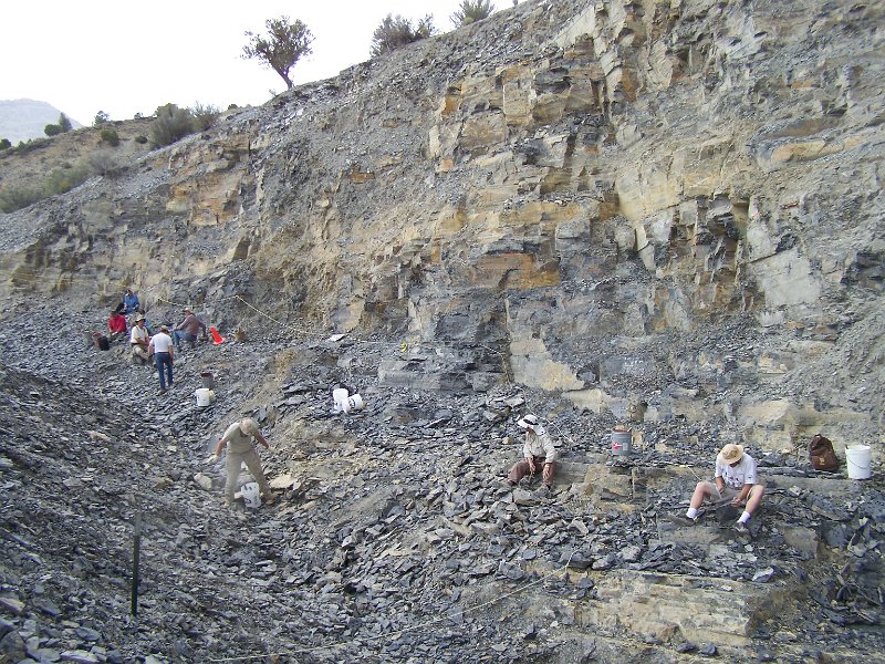 No 20 Trilobite dig. Part of our group hunting for trilobite fossils. .JPG